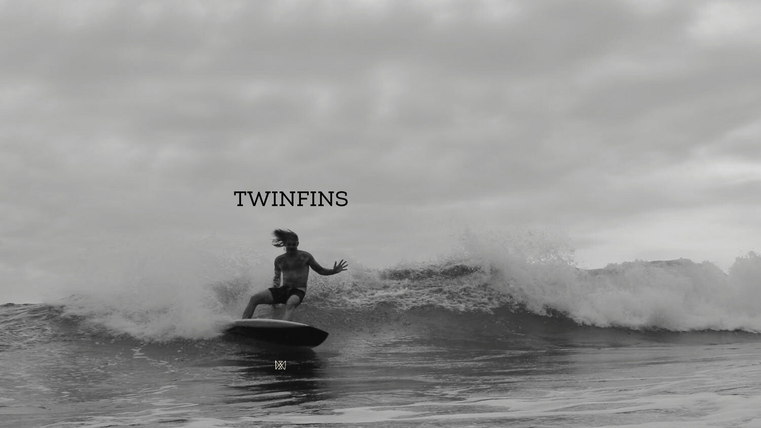 TwinFins